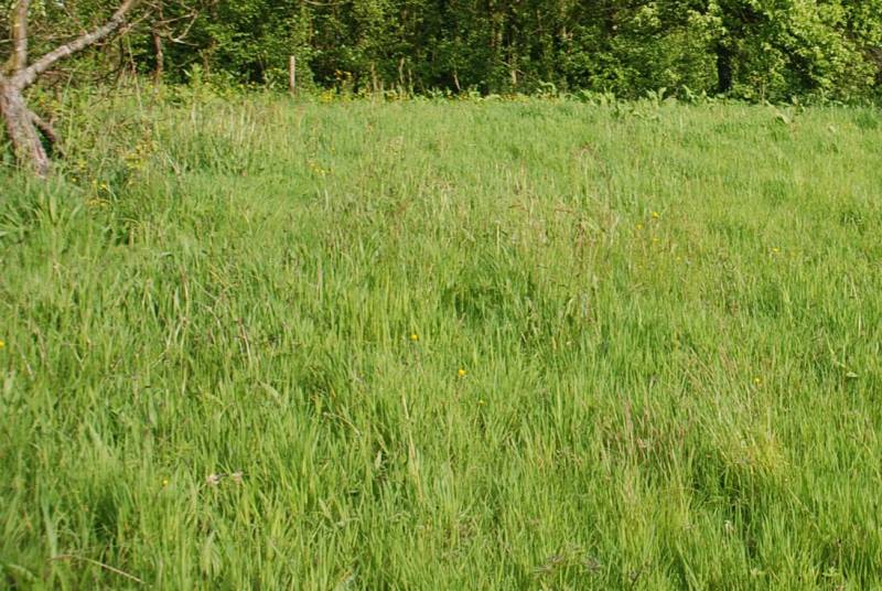 terrain 1000 M² plat à vendre à 7km de FECAMP