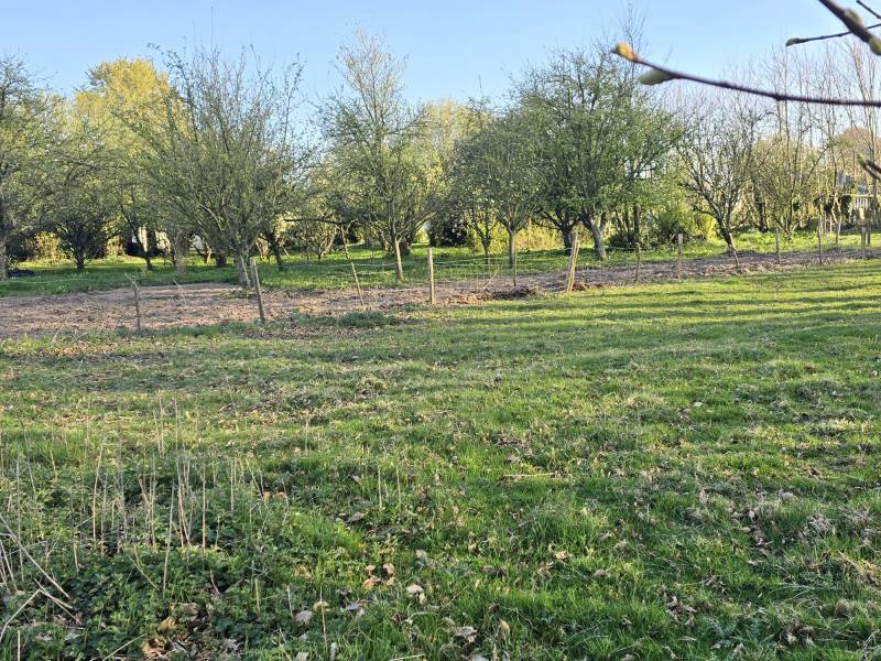 Axe Fécamp / Goderville, hors lotissement à la campagne terrain à bâtir à vendre