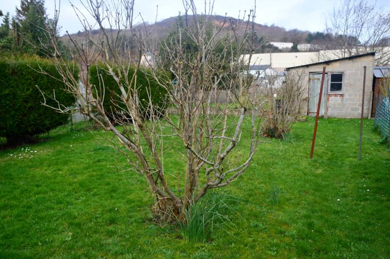 maison à vendre avec jardin à Fécamp