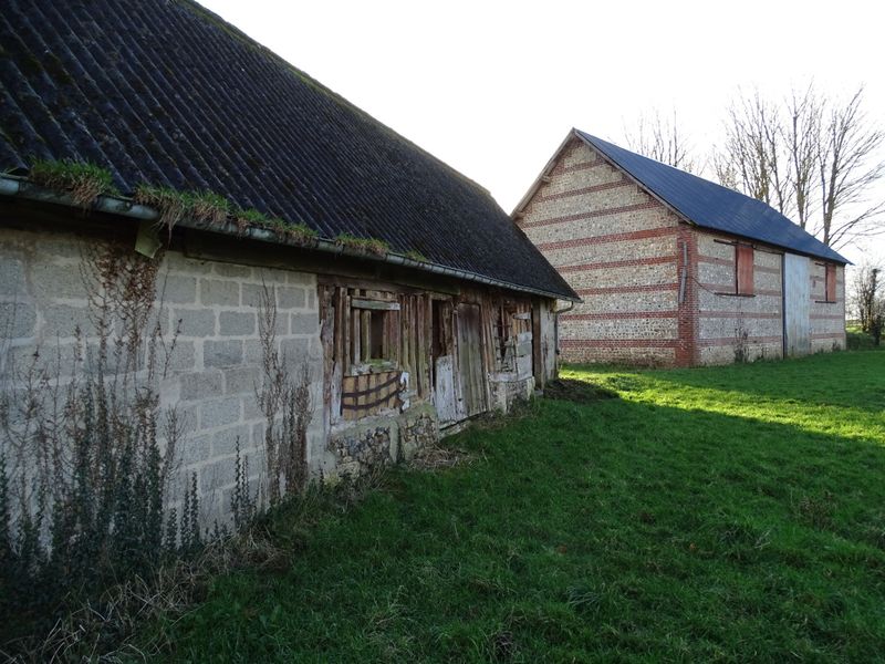 Maison à vendre avec bâtiments/ écuries en briques et silex 76