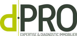 DIAGNOSTIC FECAMP D-PRO