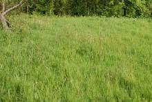 Nos prestations sur le secteur de Saint-Pierre-en-Port 76540 en Normandie