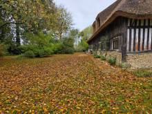 A vendre campagne de GODERVILLE authentique chaumière offrant une belle superficie et beau terrain plat