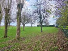 A vendre longère de caractère avec grand terrain et bâtiments proche d'un centre bourg avec école non loin de Goderville