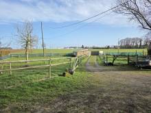 Maison individuelle rénovée avec grand terrain entre Fécamp et Terres-de-caux