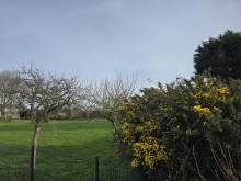 Notre zone d'activité pour ce service Vente de maison traditionnelle T5 avec garage