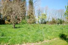 Rare à la vente, propriété de caractère à vendre campagne de FECAMP