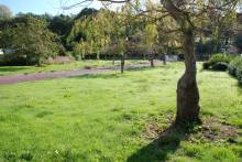 A vendre maison individuelle avec vue sur la verdure à FECAMP