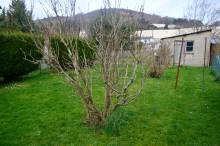 maison à vendre avec jardin à Fécamp
