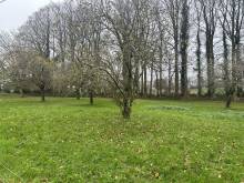 Terrain constructible proche de VALMONT