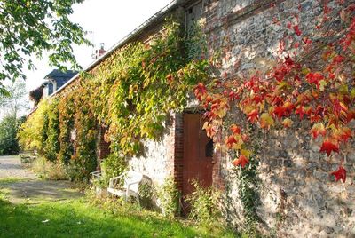 Nos prestations sur le secteur de Fécamp 76400 en Normandie