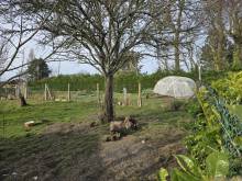 vente terrain à bâtir très proche de Fécamp